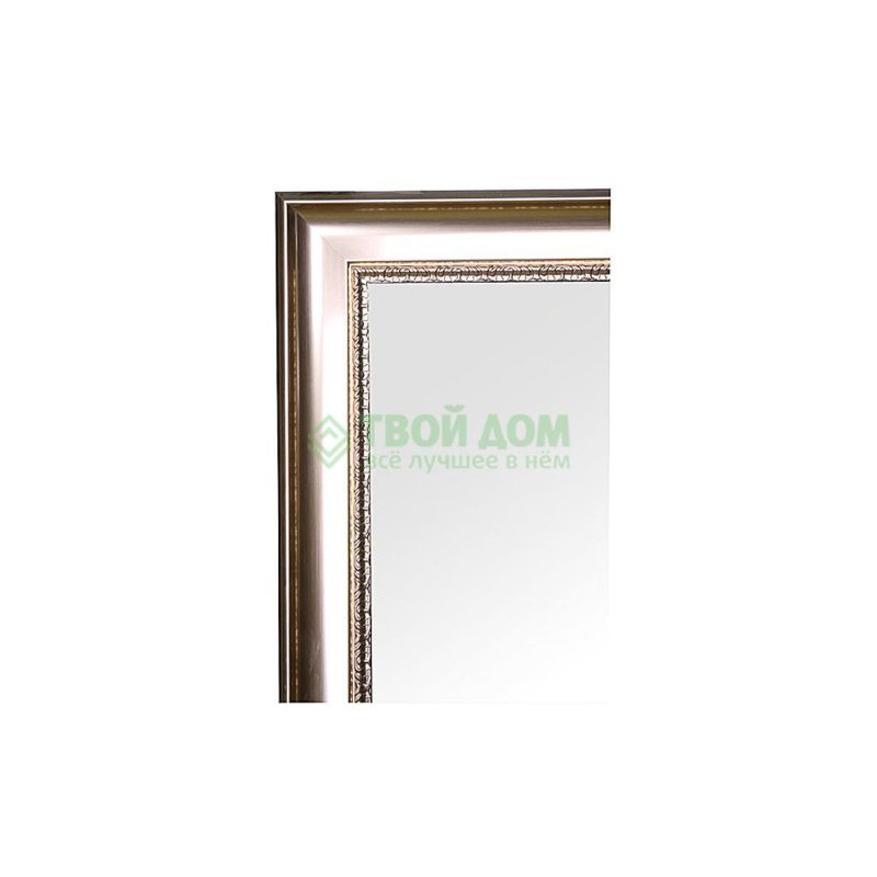 Зеркало с фацетом в багетной раме Evoform хамелеон 88 мм 76х106 см