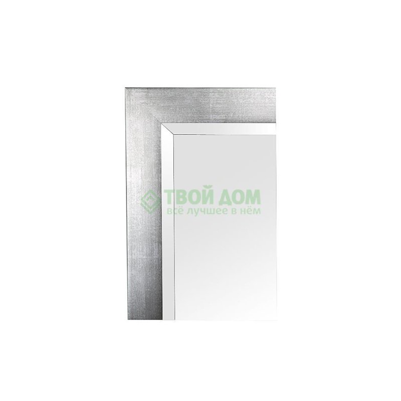 Зеркало с фацетом в багетной раме Evoform алюминий 61 мм 71х101 см