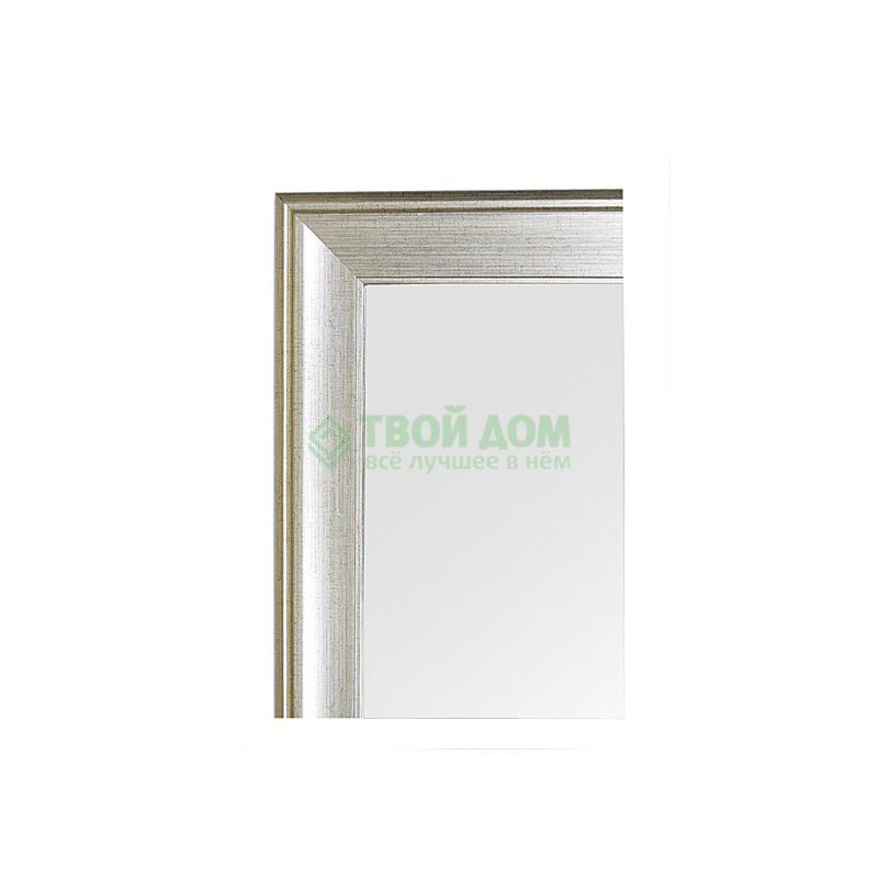Зеркало с фацетом в багетной раме Evoform травленое серебро 95 мм 58х88 см